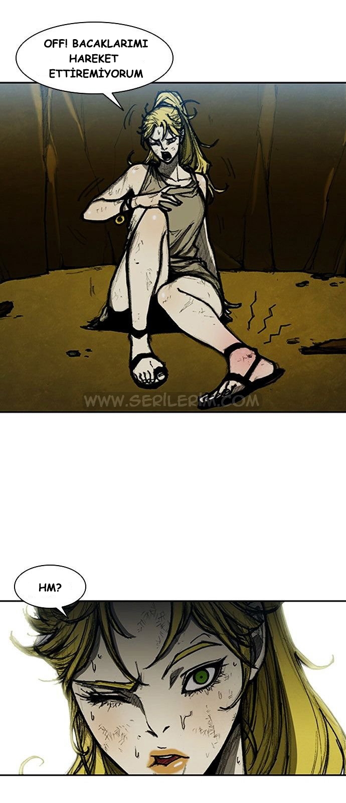 image 31