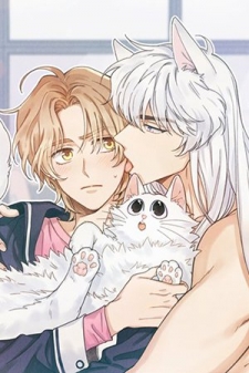 My one and only cat